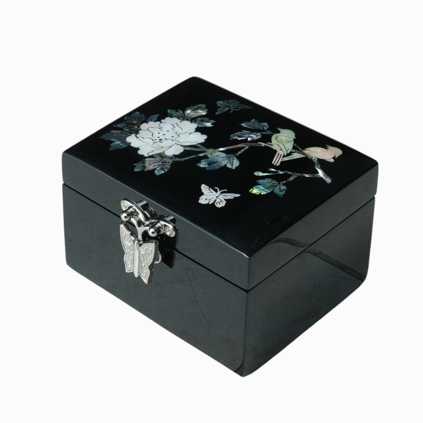 🖤 Gentle Glade | Black