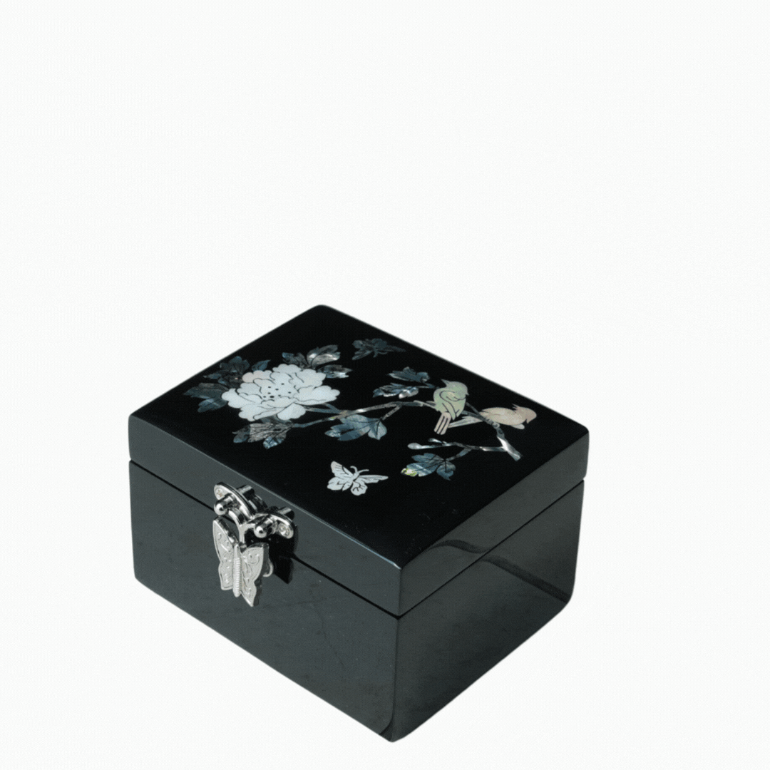 🖤 Gentle Glade | Black